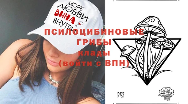 альфа пвп Беломорск