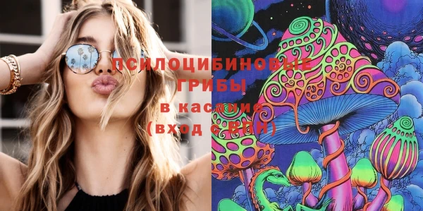 apvp Белоозёрский