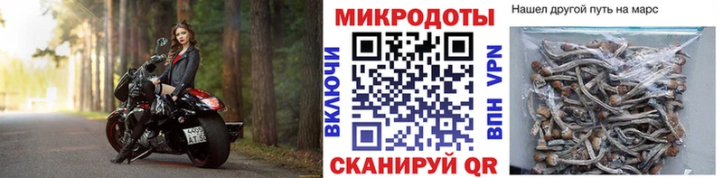 Галлюциногенные грибы ЛСД  Заводоуковск 