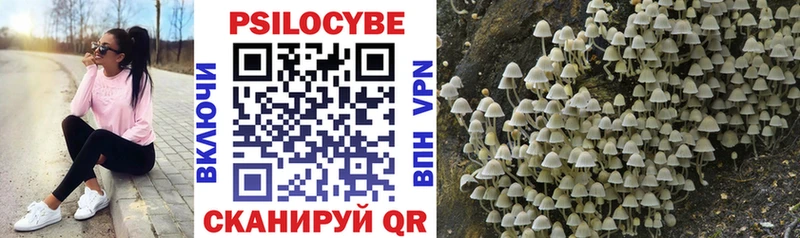 Галлюциногенные грибы Magic Shrooms Заводоуковск