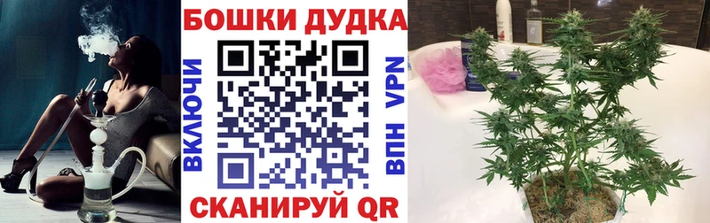 ссылка на мегу   Заводоуковск  Каннабис ГИДРОПОН 